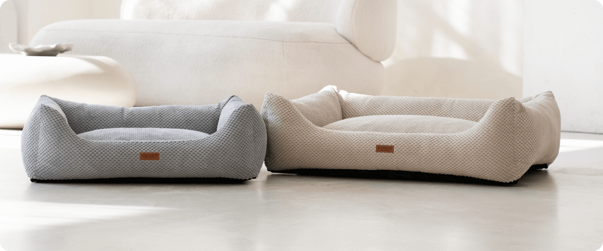 Jak vybrat pelíšek pro psa: Průvodce komfortem, zdravím a designem