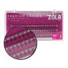 Zola Premium Cluster Lashes 10D 9 mm