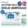 Stayve AC Stem Cell