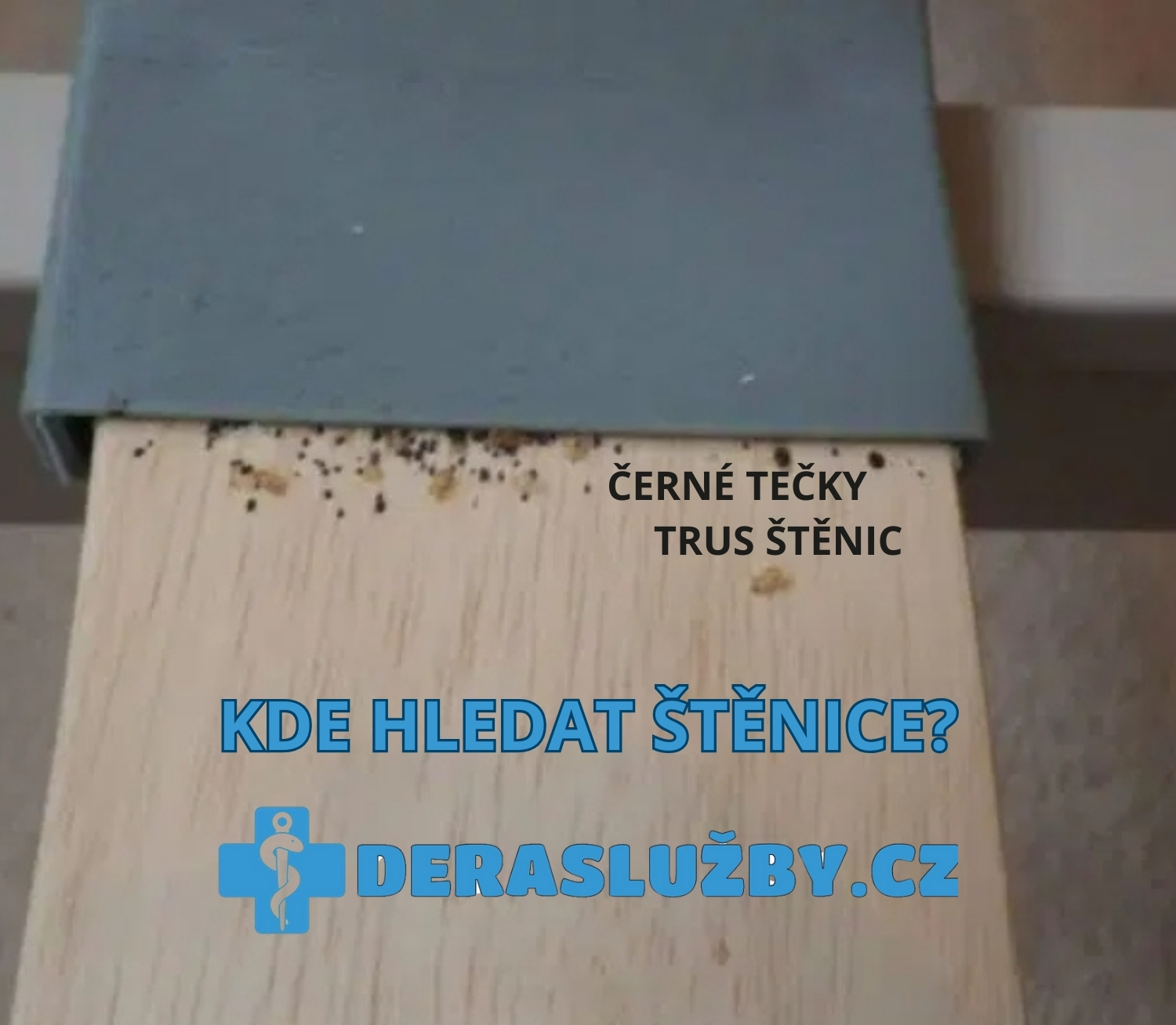 Štěnice v posteli.