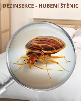 Deratizace pro Brno, Brno-venkov, Jihomoravský, Zlínský, Olomoucký, Moravskoslezský, Pardubický, Královohradecký,...