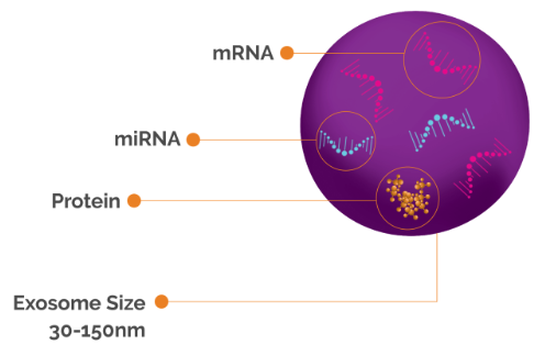 mRNA