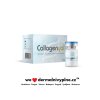 COLLAGENYAL 1x5g - Hydrolyzovaný kolagen+kyselina hyaluronová+elastin v práškové formě, pro topické použití pro kosmetologii