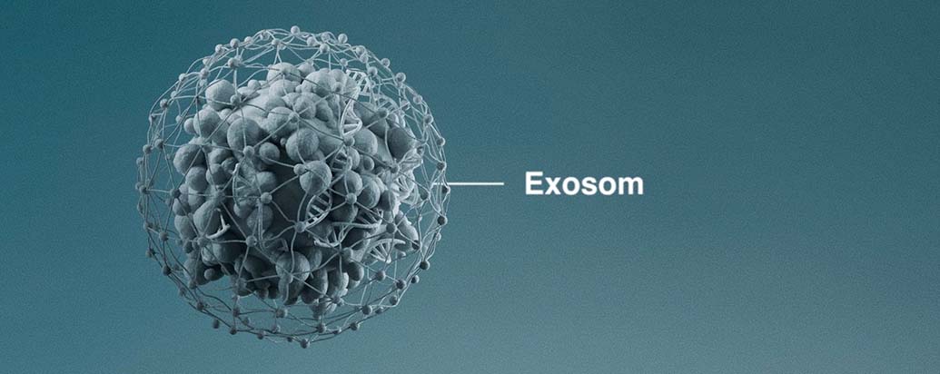Zabudnite na vrásky! Exozómy ako elixír mladosti