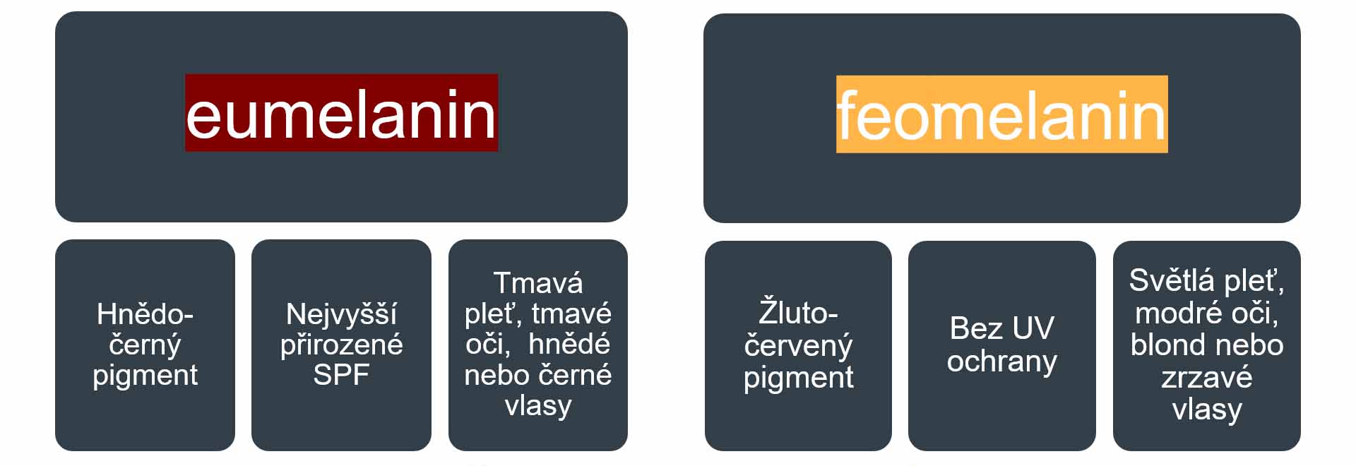 Typ melaninu