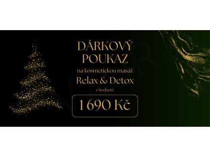 VZOR Vánoční dárkový poukaz 25 (4)