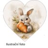 králík srdce