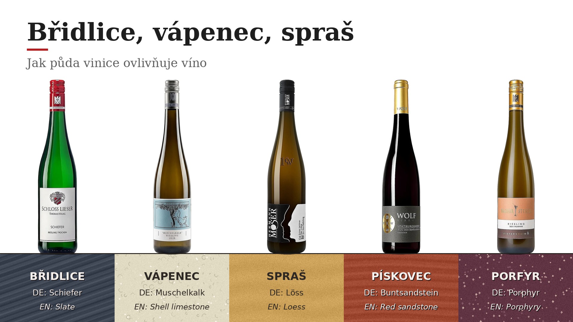 Břidlice, vápenec, spraš: jak půda ovlivňuje víno