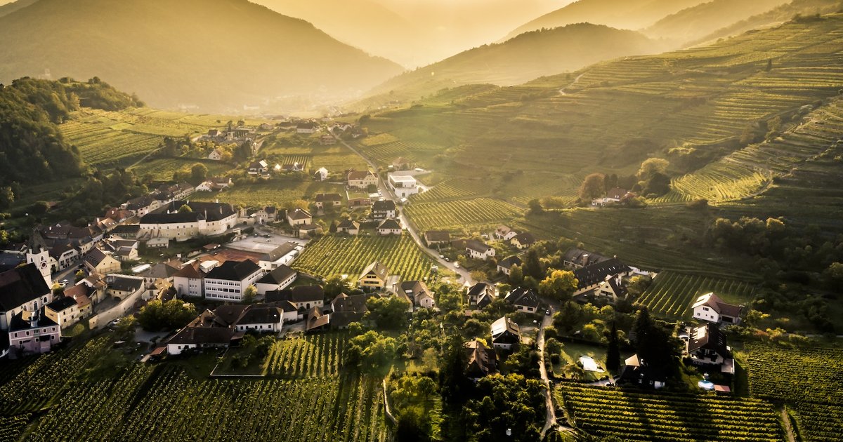 Wachau, Kamptal, Kremstal: tři sousedé u Dunaje, tři úplně jiná vína