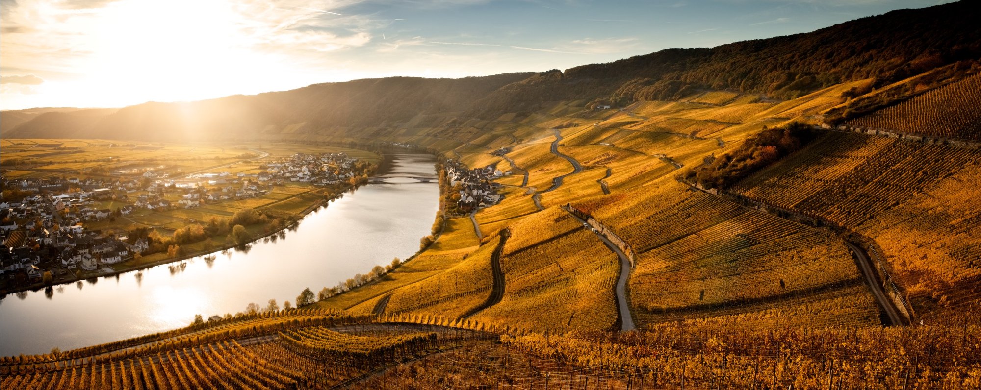 Mosel: průvodce nejromantičtější vinařskou oblastí světa