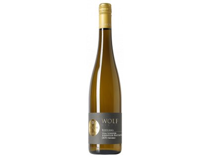 KASTANIENBUSCH Riesling vom SCHIEFER