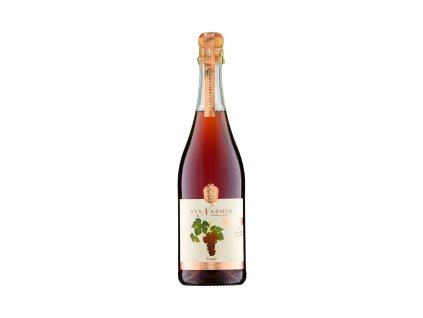 VAN NAHMEN Fruit-SECCO hroznové BIO