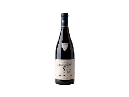 friedrich becker pinot noir herrenwingert 2017