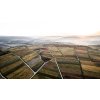 Vinice Rheinhessen vinařství Wagner Stempel