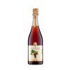 Van Nahmen Fruit-Secco hrozny BIO nealko 0,75l