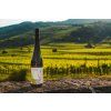 braun gruner veltliner weissenkirchen wachau