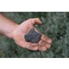 Kaiserstuhl has an exceptional soil of volcanic stone