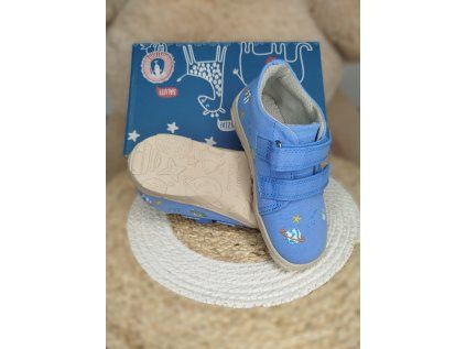 D.D.Step C077-51663M