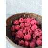 Lyofilizované Maliny 30g prémium