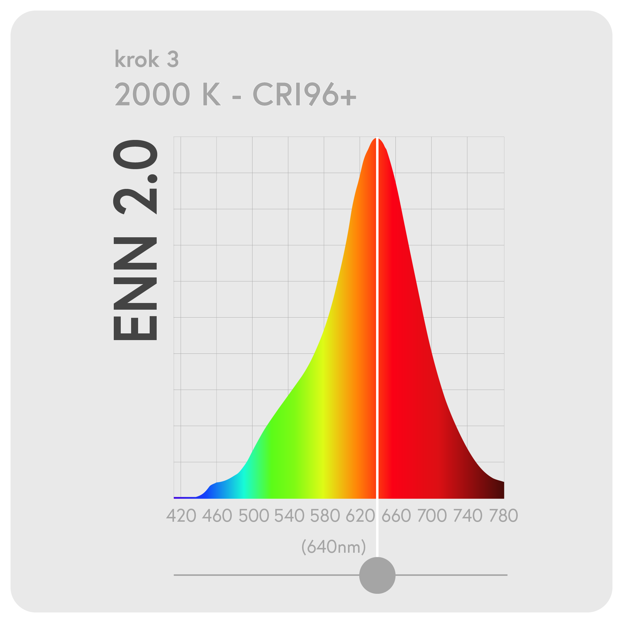Spectrum_ENN_3 kopie
