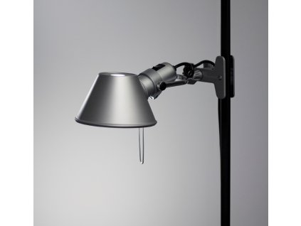 Tolomeo Pinza polodetail oriznuto