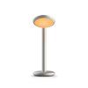 Parrot Table - stolní lampa - Grau (Barva Dune)