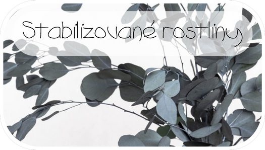 stabilizované rostliny