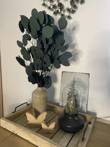 STABILIZOVANÝ EUKALYPTUS POPULUS