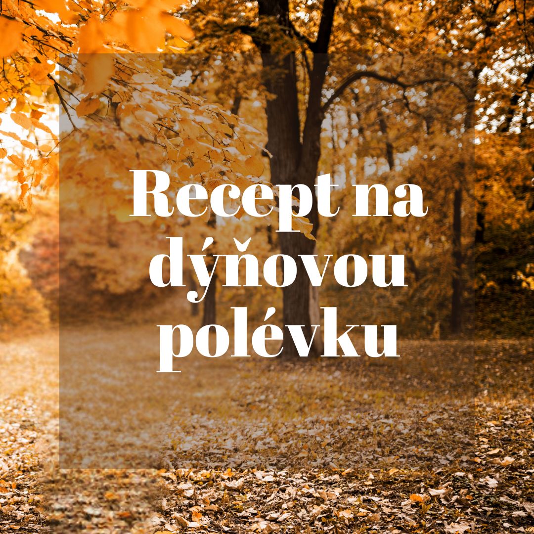 Recept na dýňovou polévku