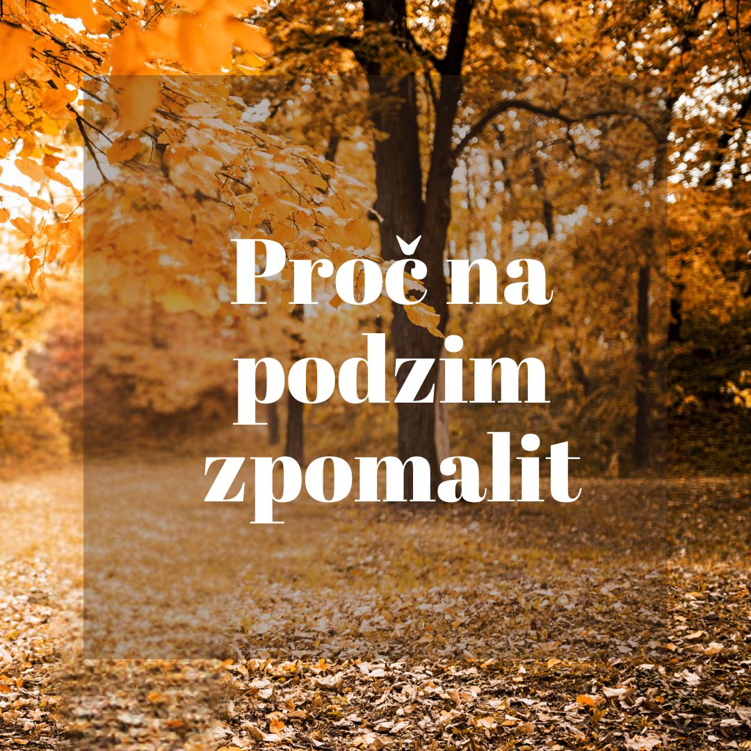 Proč na podzim toužíme zpomalit: Psychologie přechodového období