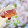 Almara Soap_sakura_mydlo