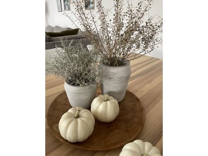 1C17DB04 DE29 45F8 A541 04BFB9E9F8D7