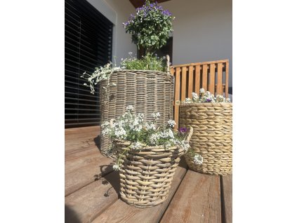 A61DB967 17FB 4616 91B0 49569C47A96C