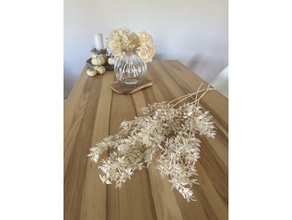 565B1B93 CA64 4F98 A5F9 BE4B3ADB990D