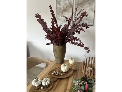 0B0FEFD6 563F 49B7 88C4 2CF89C7E66B7