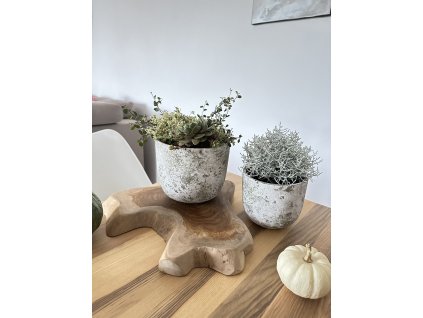 0B0F5968 325E 477C 8032 B088BC4A04AB