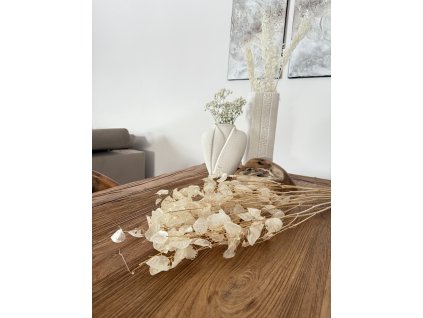 Sušená měsíčnice přírodní