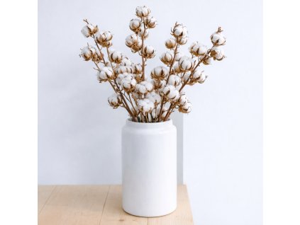 7647FB04 E5CD 459D B609 5BF77C590FE5