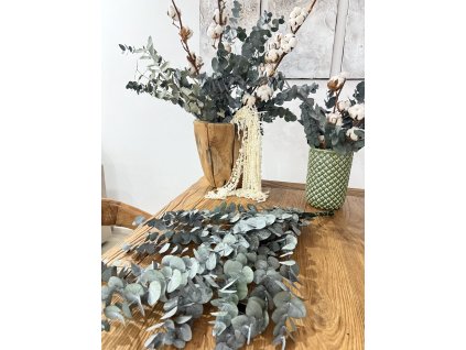 Stabilizovaný eukalypt Cinerea grey