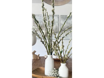 Svazek větviček kočiček