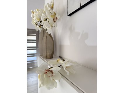 Větvička magnolie bílá