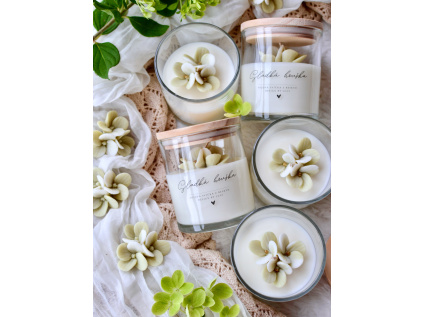 00025828 7274 4F97 BEE5 C8953B283FE1