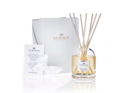 Diffuser with gift box (1)
