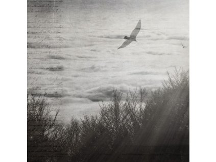 atmosphere2