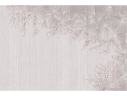 dandelion glxv212a