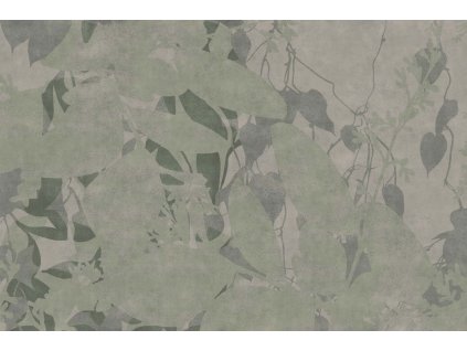 CREEPER GLSP102B 1710x1140