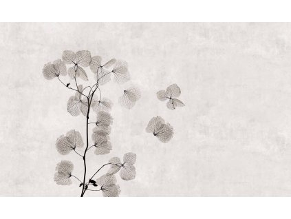 WP33A KENGI 500x300 LOW