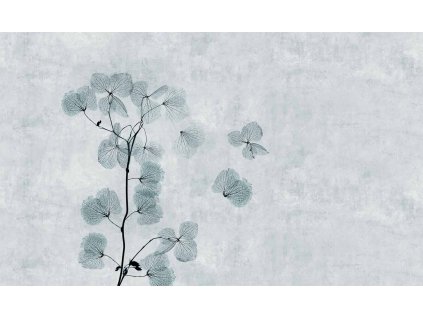 WP33B KENGI 500x300 LOW