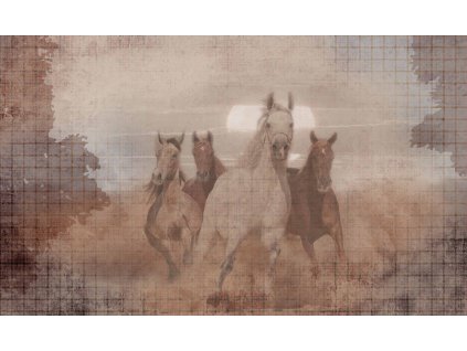 WP09B FEELING THE WEST 500x300 LOW