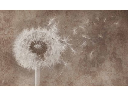 164A Wishing winds Li PRA A